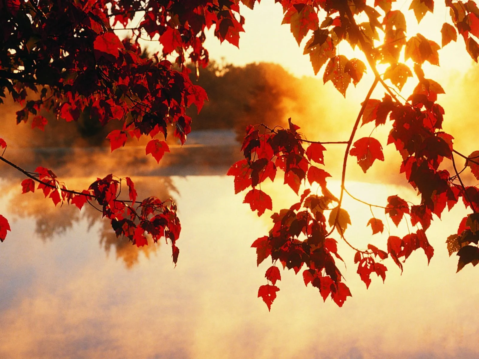 Boat trip during the autumn school holiday, for the whole family